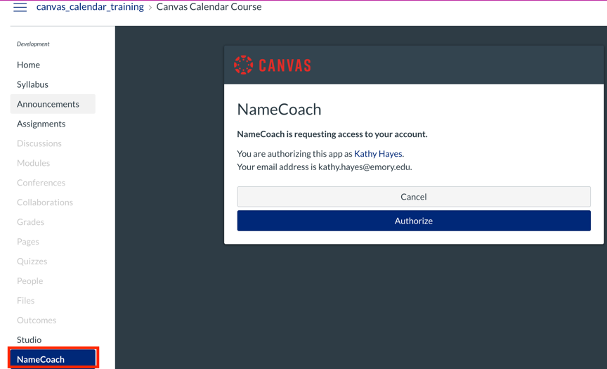 Authorize NameCoach in Canvas